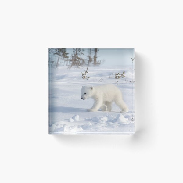 Item preview, Pola bear cubs designed and sold by Marion Joncheres.