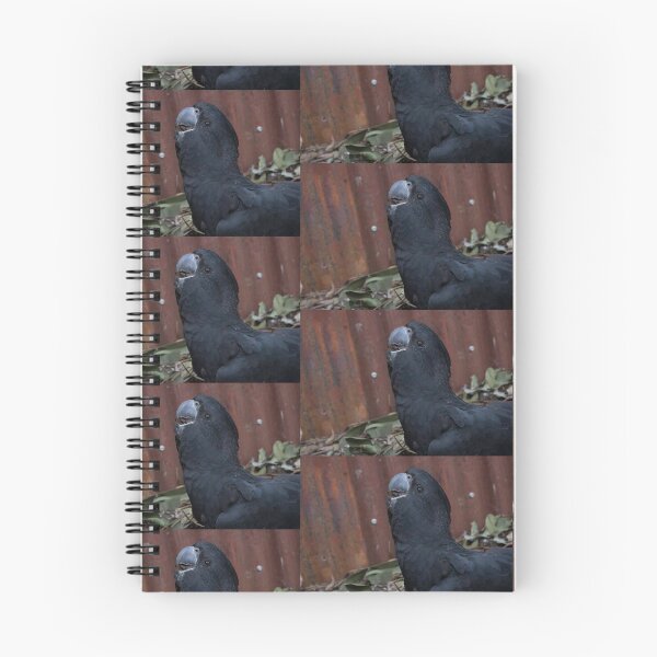 Item preview, Ollie the black cockatoo designed and sold by EmmaCoops.