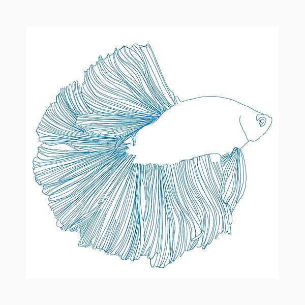 Item preview, Beta Fish Line Art designed and sold by MKnowltonArt.