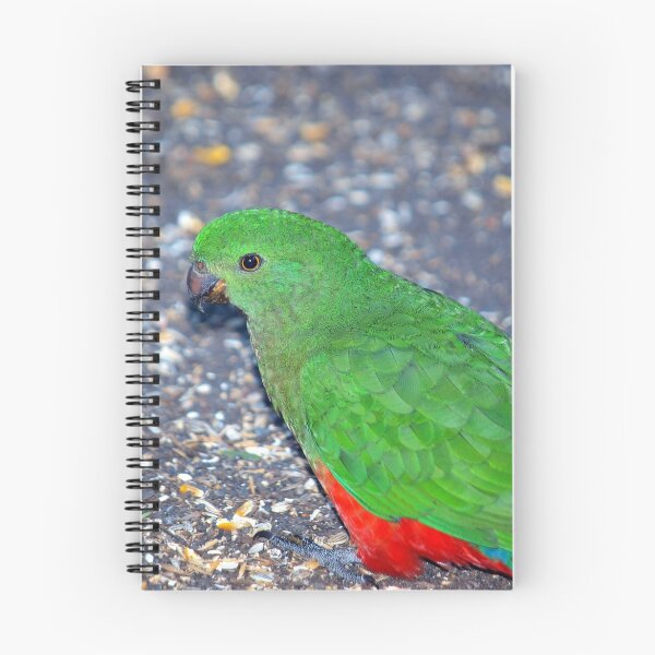 Item preview, King Parrot designed and sold by W E NIXON  PHOTOGRAPHY.