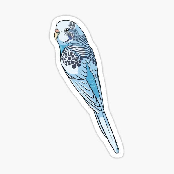 Item preview, Blue Singlefactored Pied Budgie designed and sold by KeesKiwi.