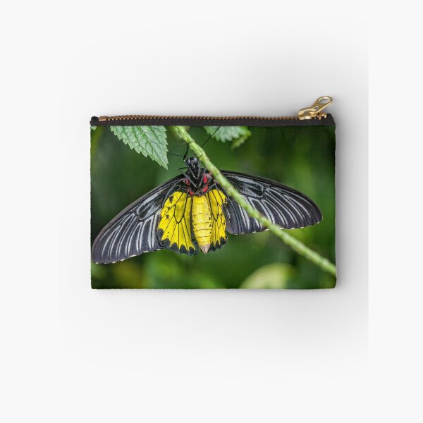 Item preview, Golden Birdwing designed and sold by PhotosByHealy.