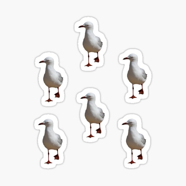 Item preview, Seagulls designed and sold by STHogan.