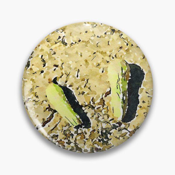 Item preview, Hortus Conclusus: two courgettes on the ground designed and sold by Giuseppe Cocco.