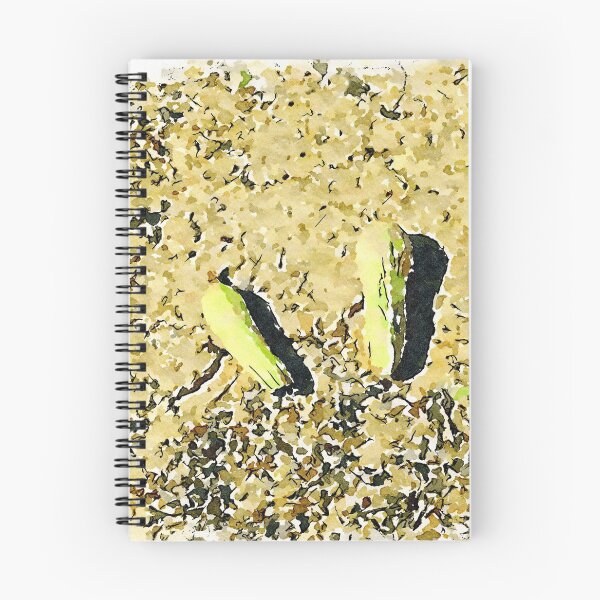 Item preview, Hortus Conclusus: two courgettes on the ground designed and sold by Giuseppe Cocco.