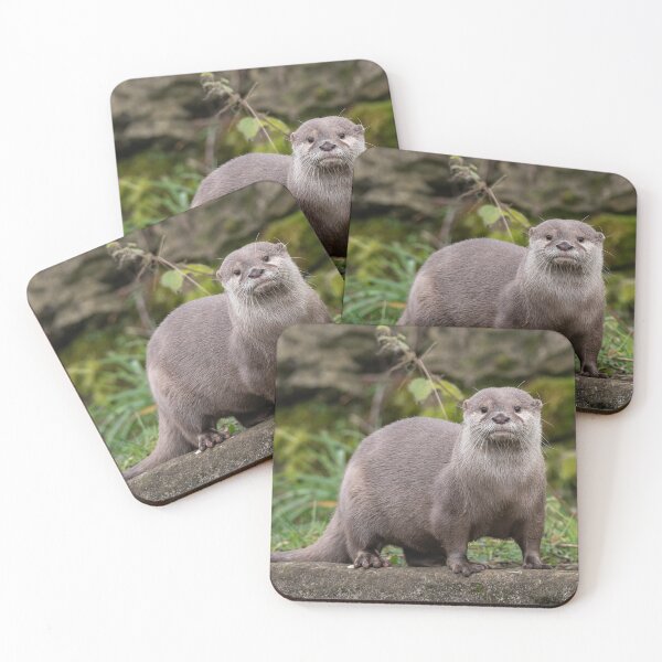 Item preview, Cute And She Knows It! designed and sold by HollieGPhotos.