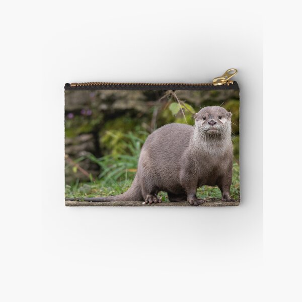 Item preview, Cute And She Knows It! designed and sold by HollieGPhotos.