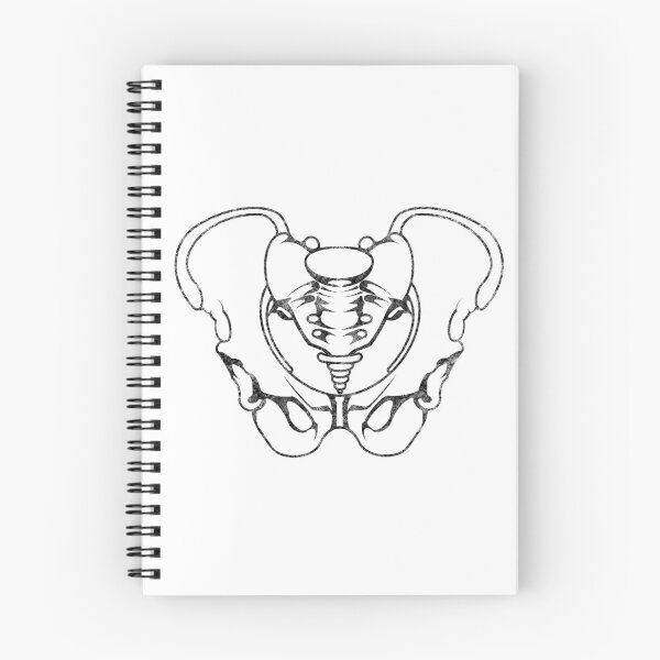 Item preview, Pelvis  designed and sold by seacoastcustoms.