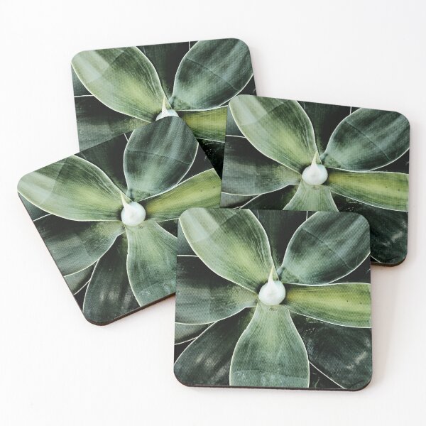 Item preview, Attenuated Agave designed and sold by achoprop.