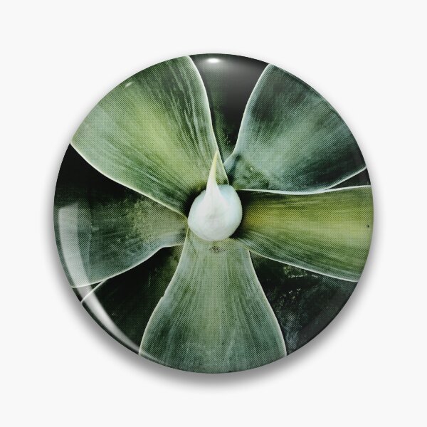 Item preview, Attenuated Agave designed and sold by achoprop.