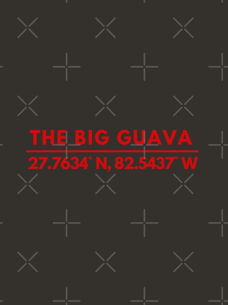 Big Guava Tampa Bay Fan Latitude Longitude Coordinates by BadLatitude