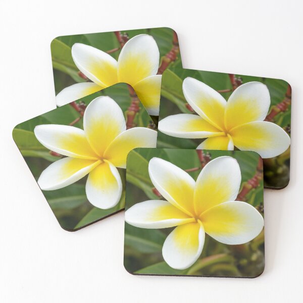 Item preview, "Tropical White" - Frangipani Flower|Plumeria Flower designed and sold by Barry Callister Photography.