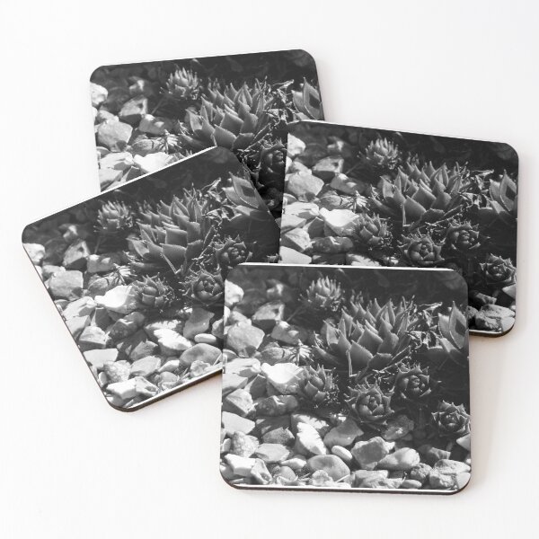Item preview, Succulent Pebbles designed and sold by DoreenPhillips.