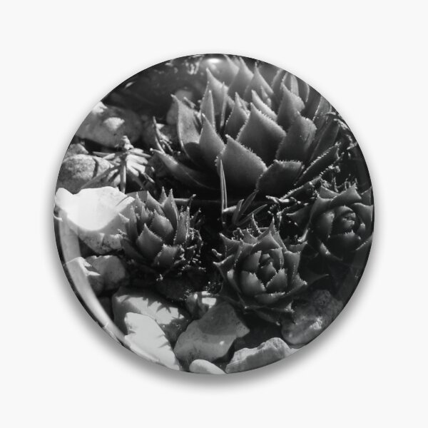 Artikelvorschau, Succulent Pebbles entworfen und verkauft von DoreenPhillips.