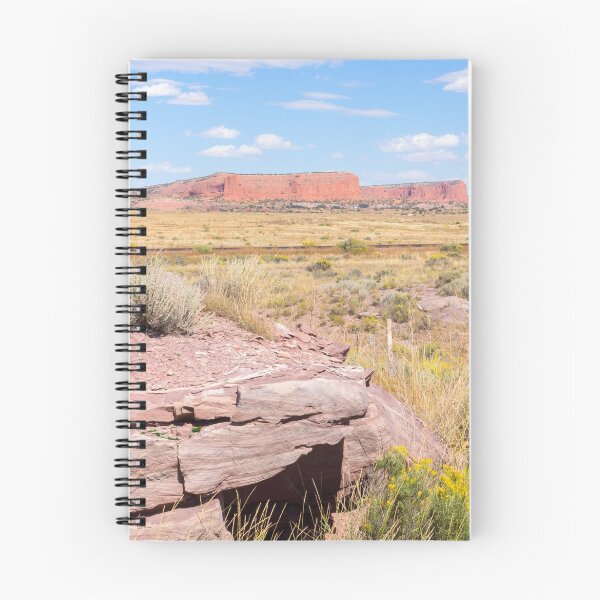 Item preview, Desert road and mesa Route 66, Arizona, USA. designed and sold by Brian Scantlebury.