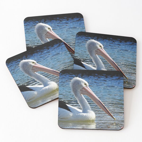 Item preview, Show off, Beautiful Australian pelican glides past looking magnificent designed and sold by Trish Hart.