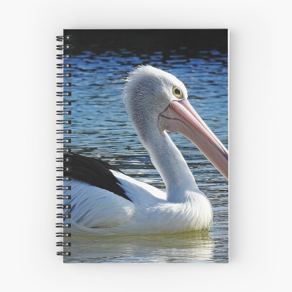 Item preview, Show off, Beautiful Australian pelican glides past looking magnificent designed and sold by Trish Hart.