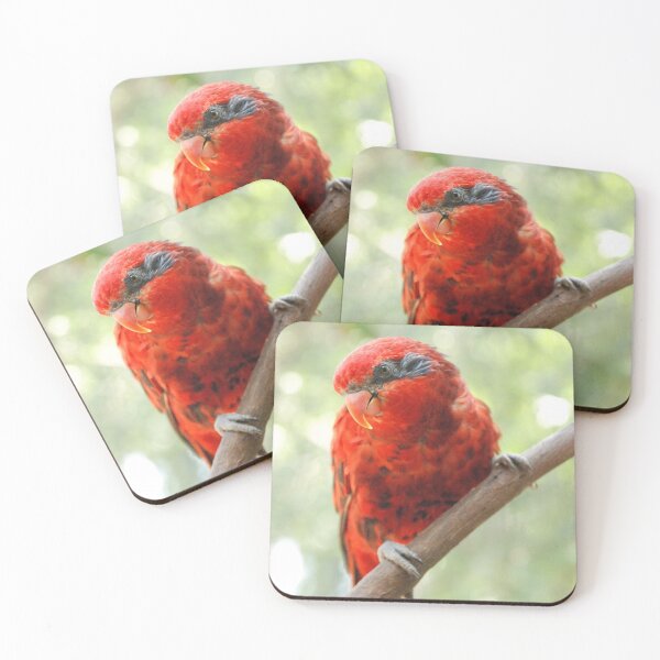 Item preview, Red parrot on a branch designed and sold by uglyishart.