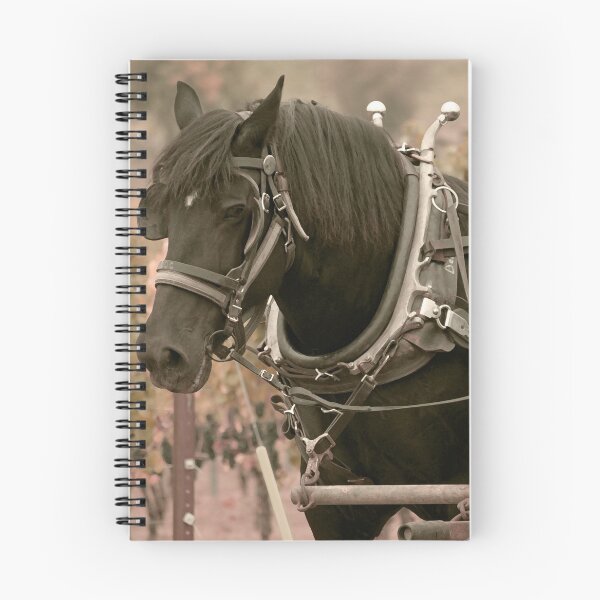 Item preview, Hitched designed and sold by Melissa J Barrett.