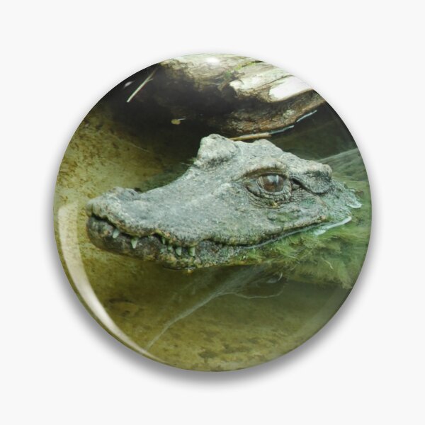 Item preview, Two alligators covered in algae designed and sold by uglyishart.