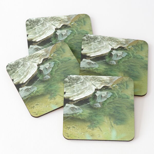 Item preview, Two alligators covered in algae designed and sold by uglyishart.