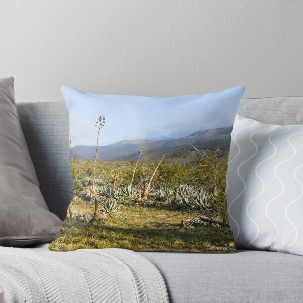 Item preview, Parque Estatal del Desierto Anza-Borrego, California designed and sold by Mike Kunes.