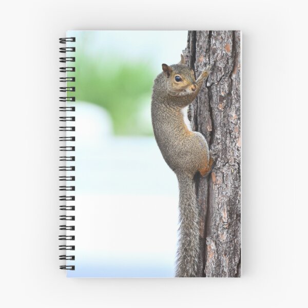 Item preview, Squirrel on a Tree designed and sold by Erika Thomas.