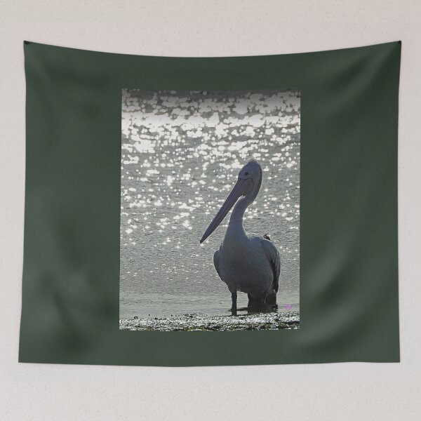Item preview, Early bird, Australian pelican waiting for a fishy lunch. San Remo australia designed and sold by Trish Hart.