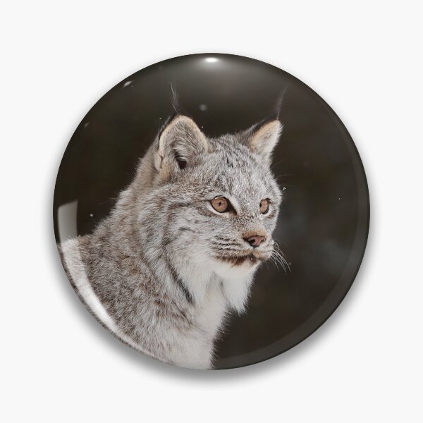 Artikelvorschau, Kanada-Luchs-Kätzchen entworfen und verkauft von mlorenz.