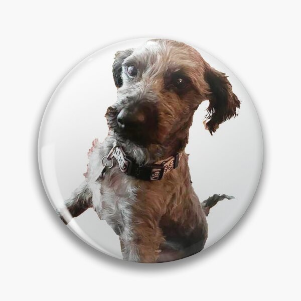Artikelvorschau, Tango der Schnoodle niedlicher grauer Hund lustiges glückliches entzückendes Tier entworfen und verkauft von Nostrathomas66.