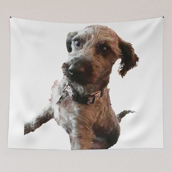 Item preview, Tango the Schnoodle cute grey dog funny happy adorable animal designed and sold by Nostrathomas66.