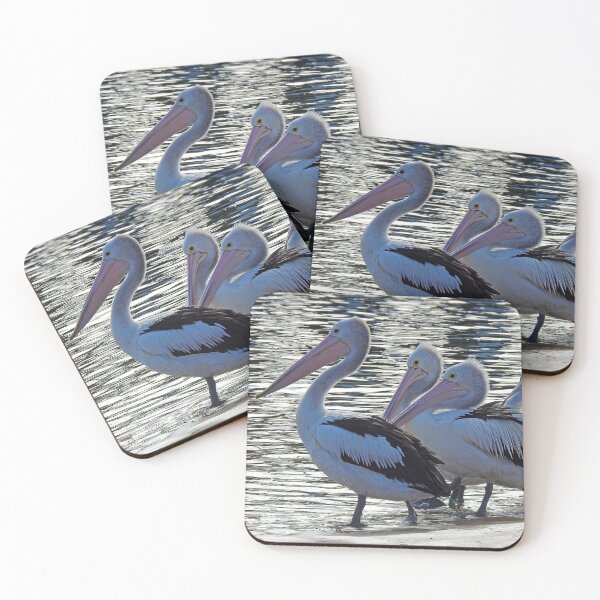 Item preview, follow me kids, family of australian pelicans going for a swim designed and sold by Trish Hart.