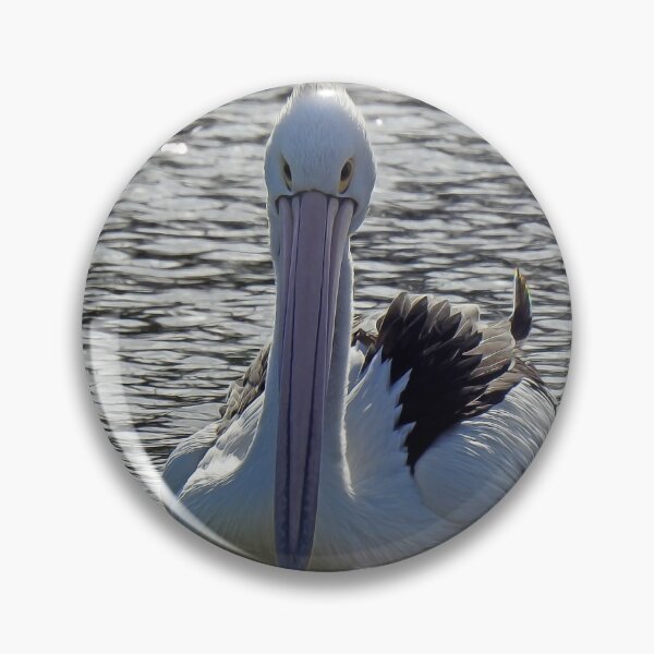 Item preview, Gliding on stars. Australian pelican swimming on a sunny afternoon designed and sold by Trish Hart.