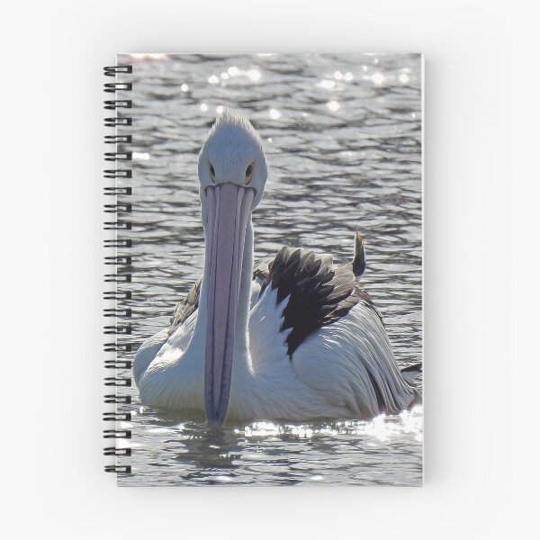 Item preview, Gliding on stars. Australian pelican swimming on a sunny afternoon designed and sold by Trish Hart.