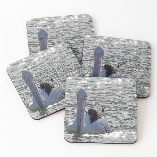 Item preview, Gliding on stars. Australian pelican swimming on a sunny afternoon designed and sold by Trish Hart.