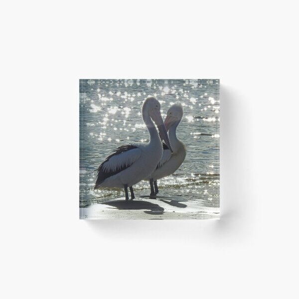 Item preview, starcrossed lovers. Australian pelican pair on san remo beach designed and sold by Trish Hart.