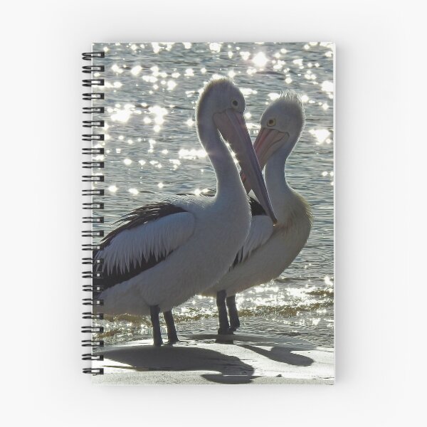 Item preview, starcrossed lovers. Australian pelican pair on san remo beach designed and sold by Trish Hart.