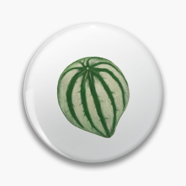 Item preview, Watermelon Peperomia designed and sold by plantwithhan.