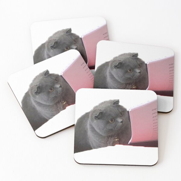 Item preview, cat meme did you understand why you wrote that designed and sold by valwerty.