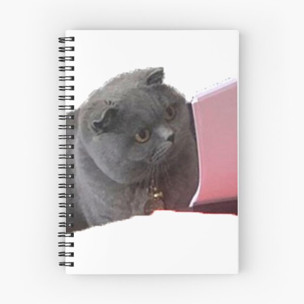Item preview, cat meme did you understand why you wrote that designed and sold by valwerty.