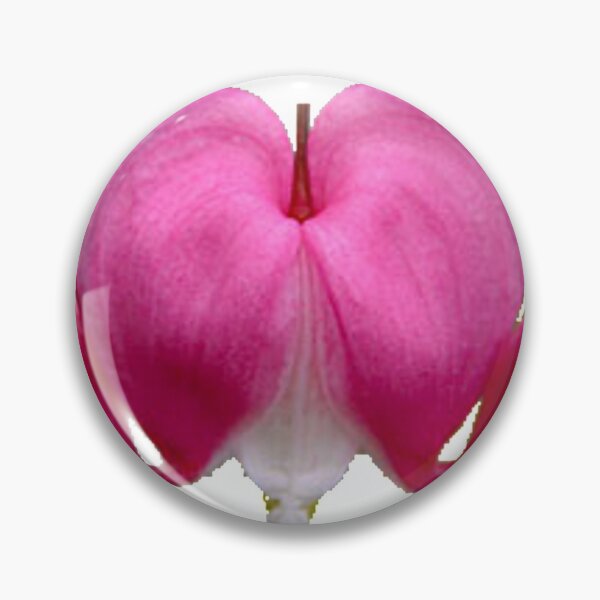 Item preview, Pink Bleeding Heart Flower Dicentra spectabilis  designed and sold by toddbrooney.