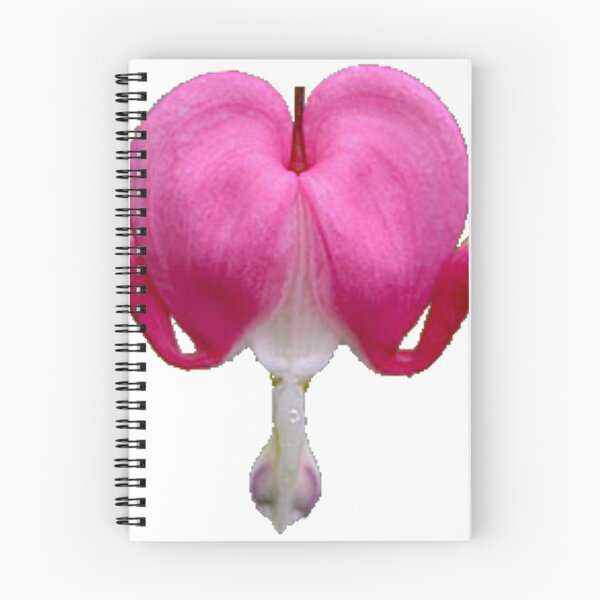 Item preview, Pink Bleeding Heart Flower Dicentra spectabilis  designed and sold by toddbrooney.