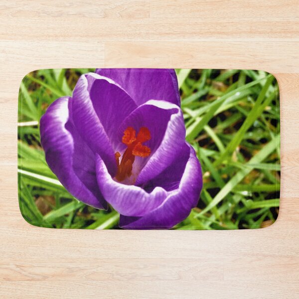 Item preview, crocus designed and sold by Valentina-V.
