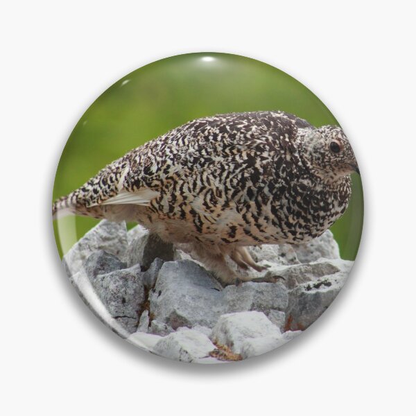 Item preview, Summer ptarmigan designed and sold by zumi.