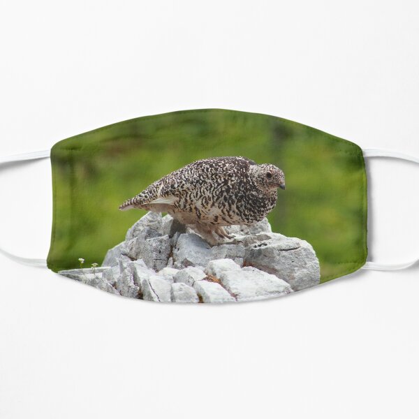 Summer ptarmigan Flat Mask