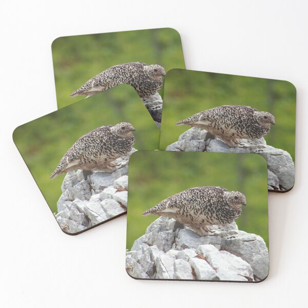 Item preview, Summer ptarmigan designed and sold by zumi.