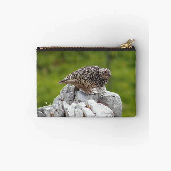 Item preview, Summer ptarmigan designed and sold by zumi.