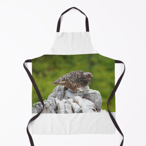 Item preview, Summer ptarmigan designed and sold by zumi.