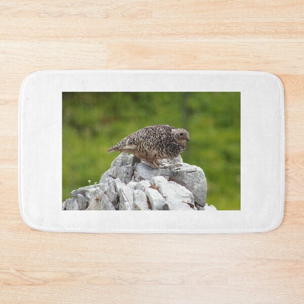 Item preview, Summer ptarmigan designed and sold by zumi.
