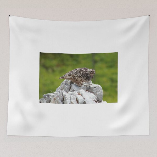 Item preview, Summer ptarmigan designed and sold by zumi.